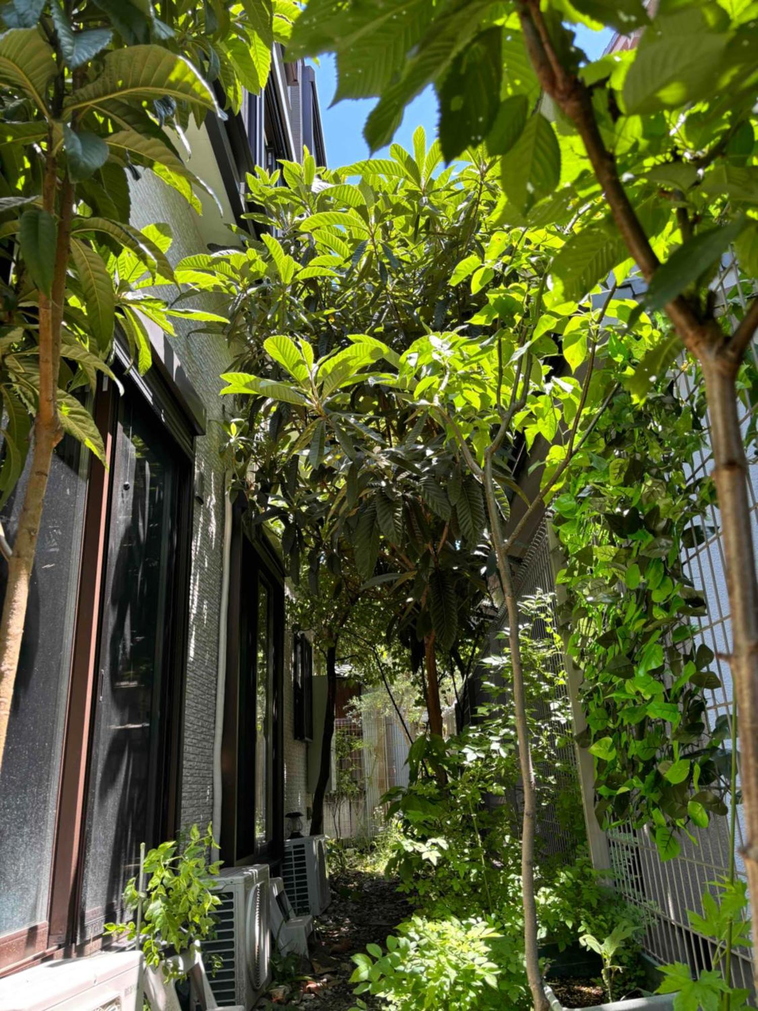 Guest House Harukawa Osaka Ngoại thất bức ảnh